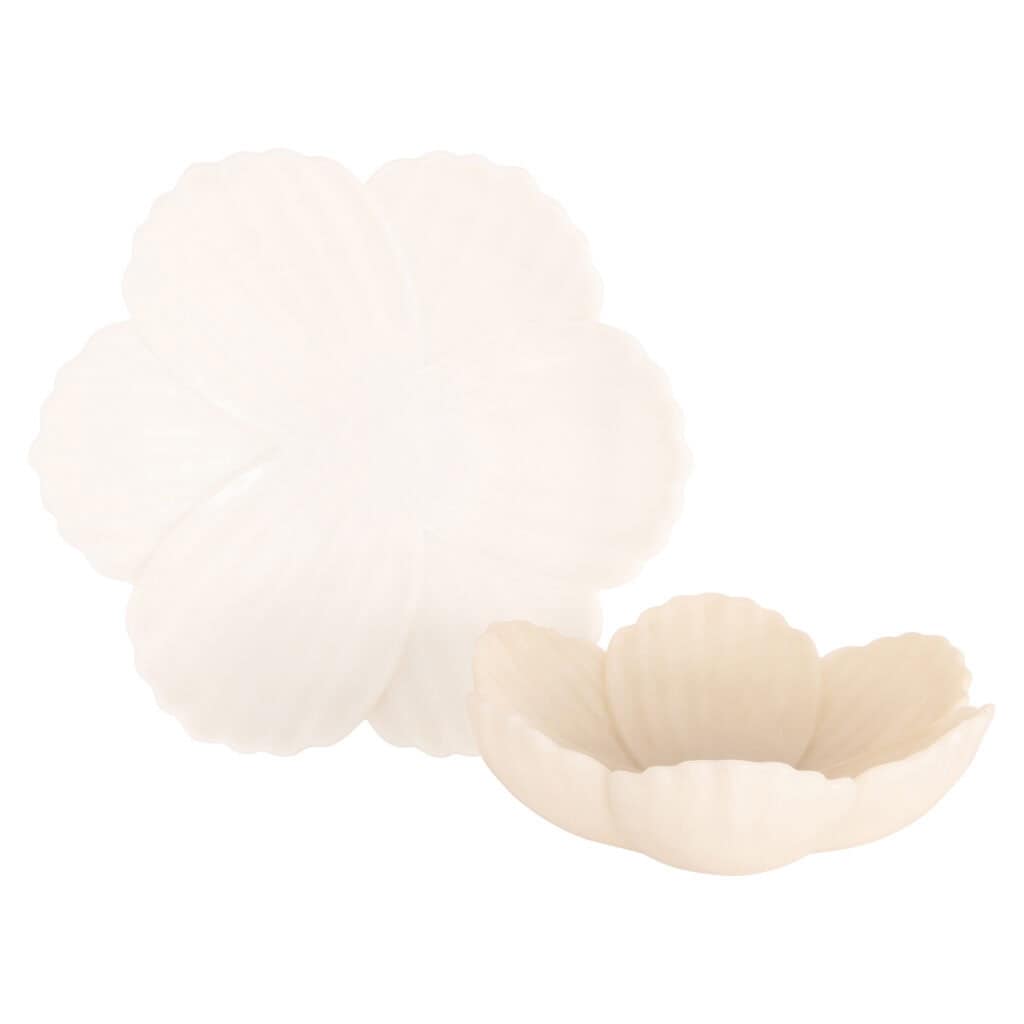Sand-colored seashells decorative set for home decor and beach-themed decor.