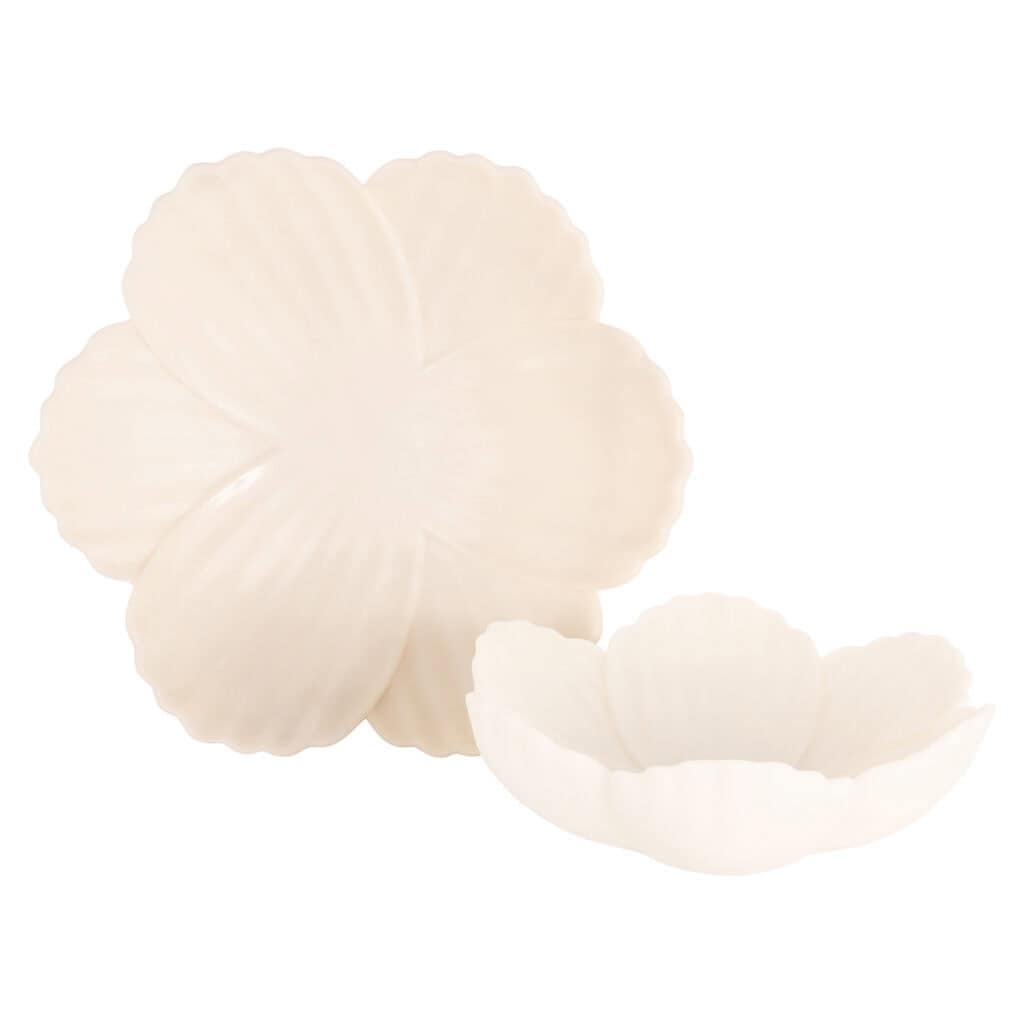 Decorative set of Zeeland shells for home decor.