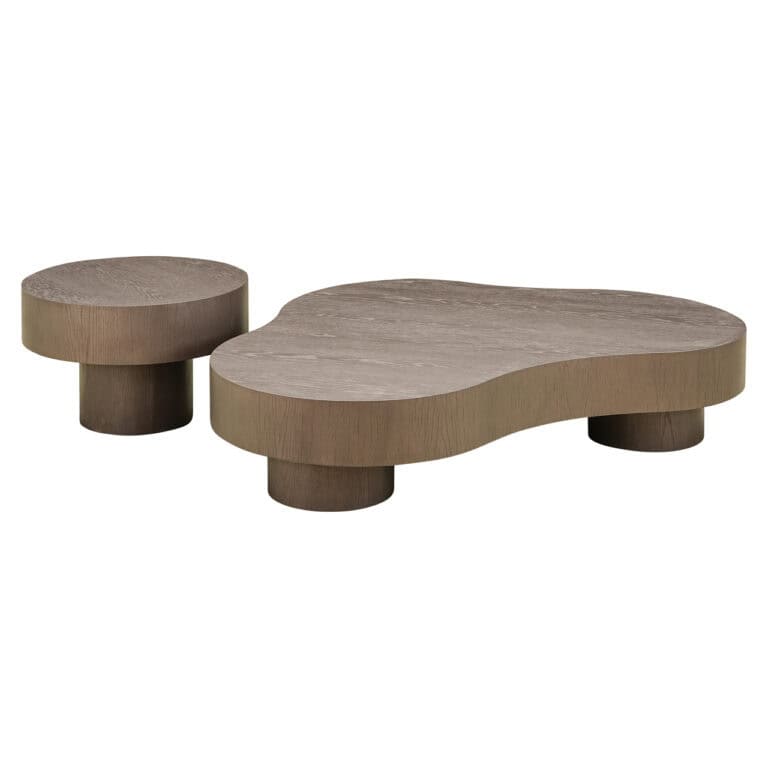 Modern wooden coffee table and side table with a natural finish.