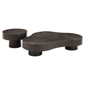 Moderne zwarte salontafel set met organische vormen en houten afwerking.